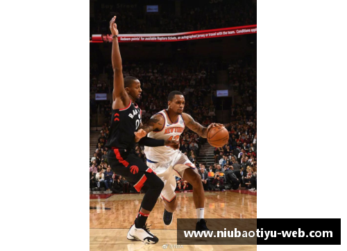 NBA球员体重排名：探索篮球巨子们的身体重量分布