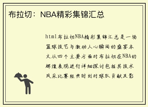 布拉切：NBA精彩集锦汇总